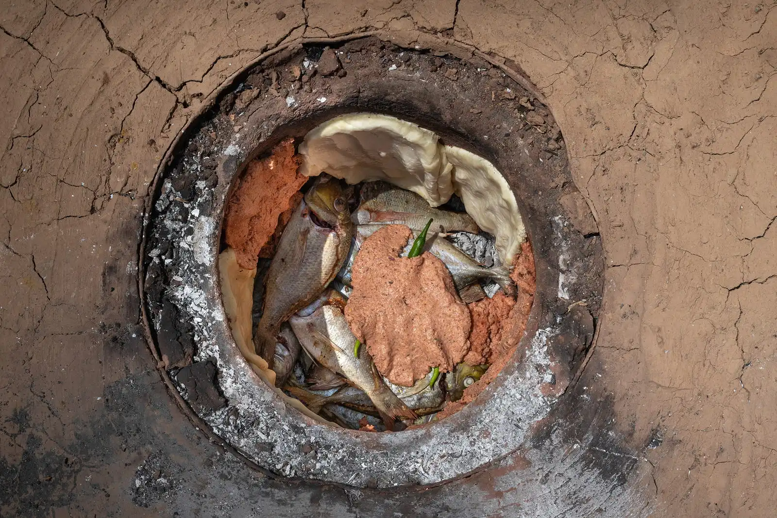 سمك التنور