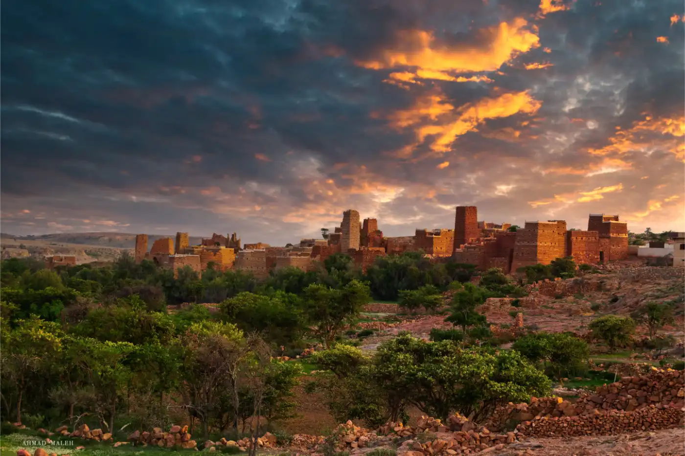تنوع ثقافي - image 1