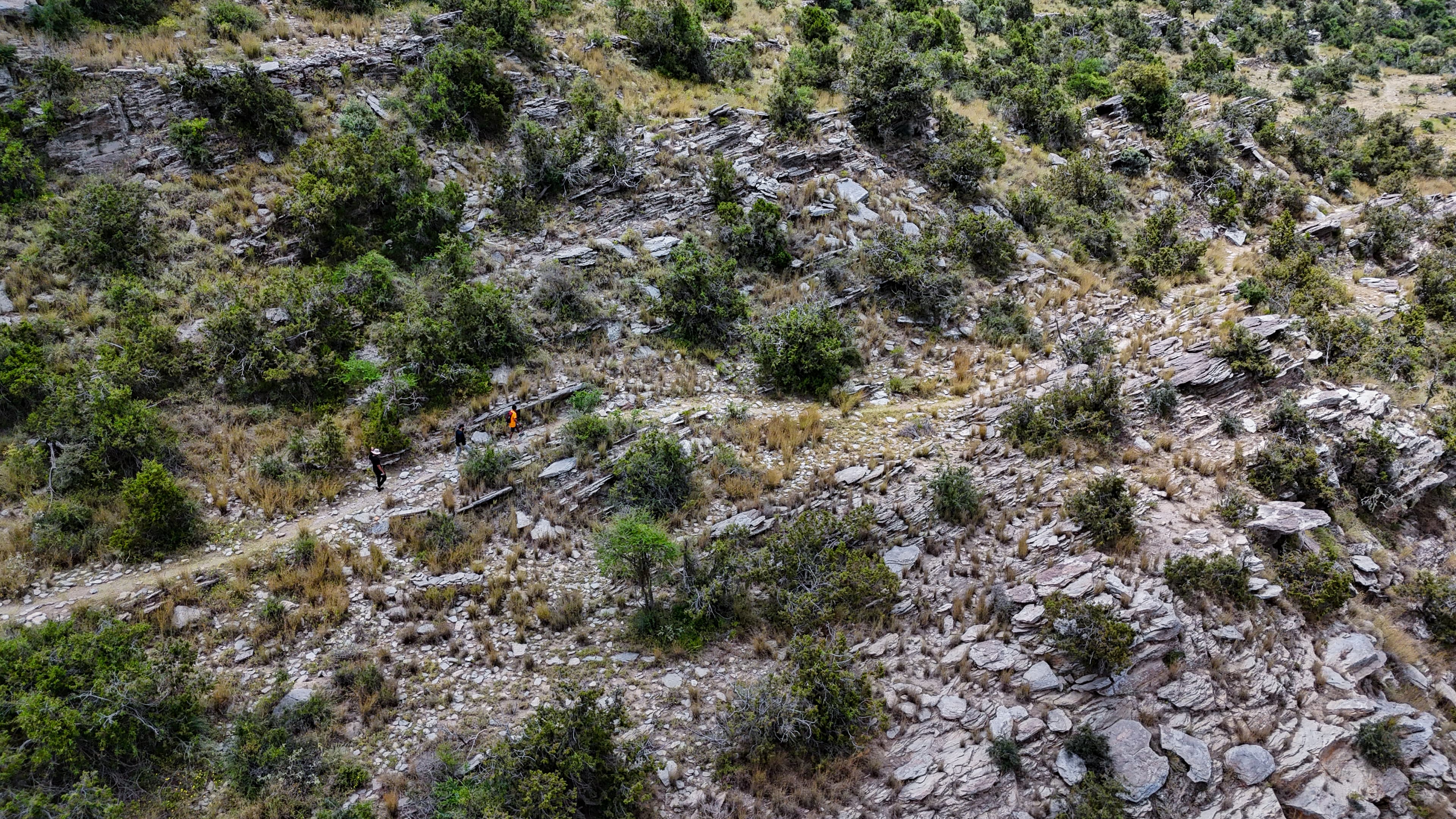 The Ridge Walk