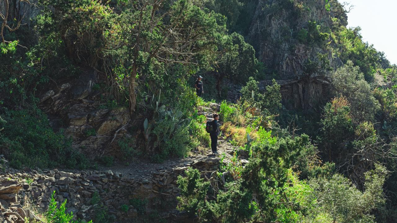 Sawda Mountains Hiking Trail