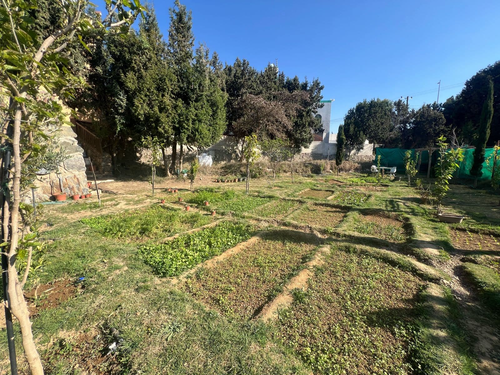 Welcome To Abu Talal's Farm